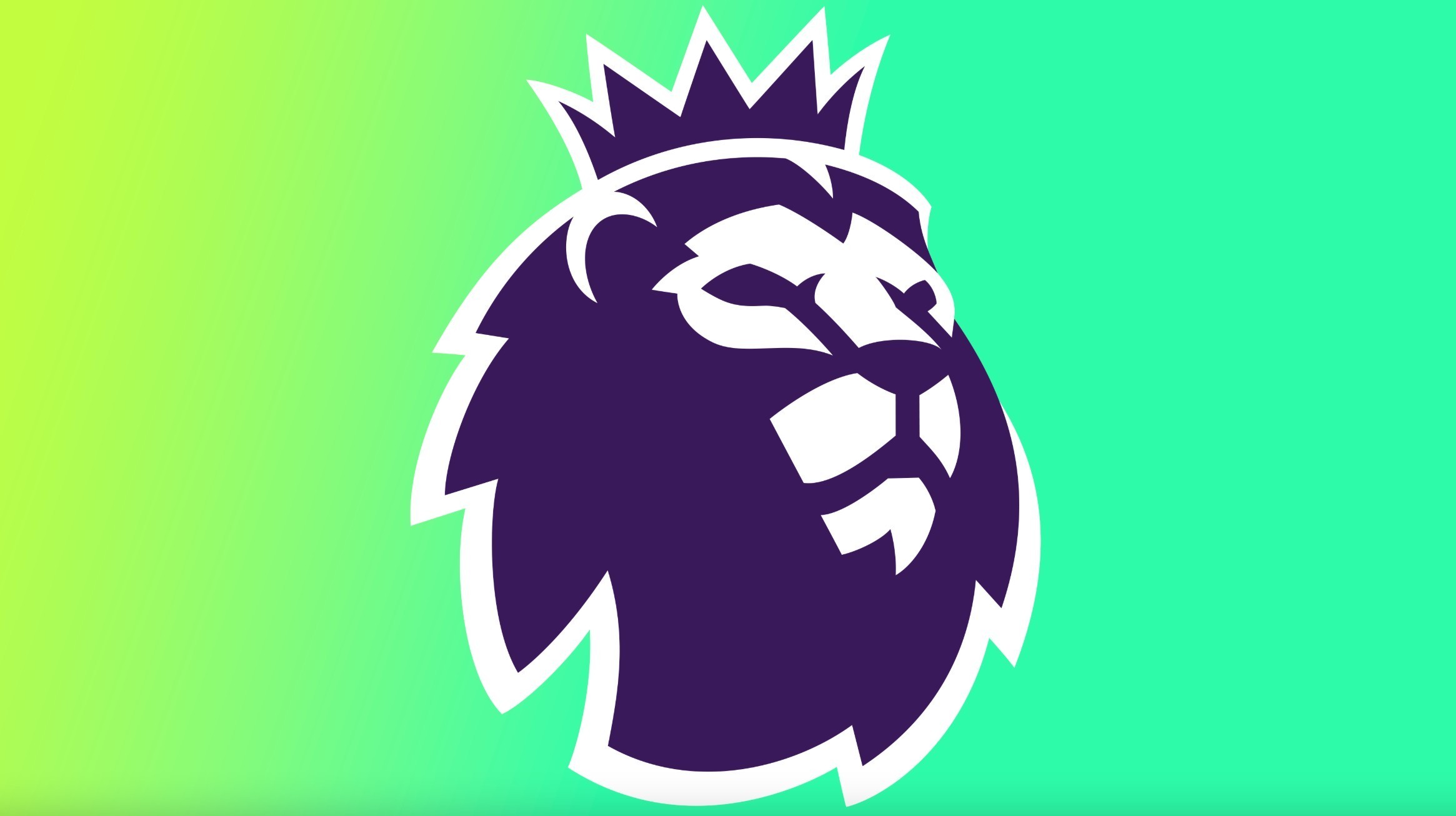 一条来自 一条来自