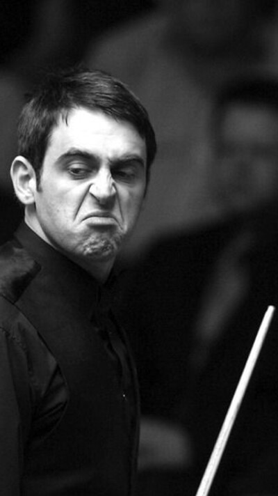 培养了众多 培养了众多